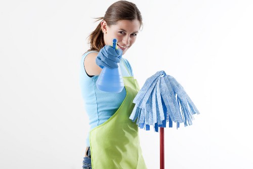 Professional carpet cleaning in a Wembley home living room