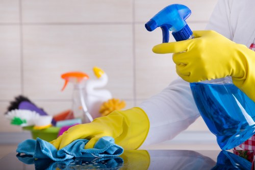 Professional oven cleaning service for homes in Wembley
