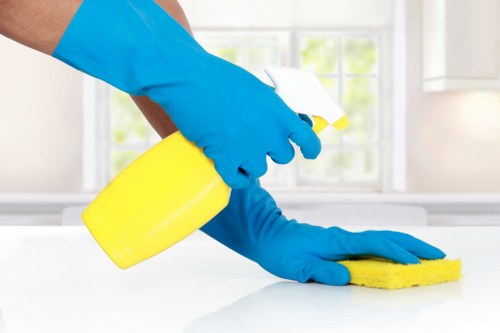 Professional carpet cleaning service in a Wembley home