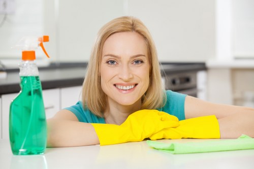 Professional oven cleaning service in a Wembley home kitchen