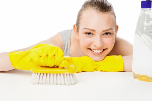 Domestic cleaning for a Wembley home interior
