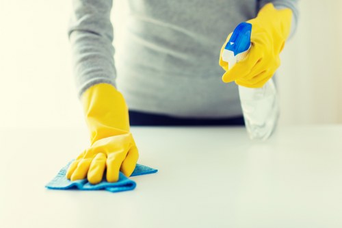 Recycling and sustainability efforts at Deep Cleaning Wembley