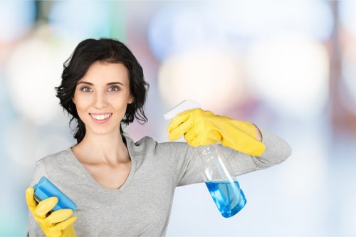 Local cleaners working in a Wembley apartment