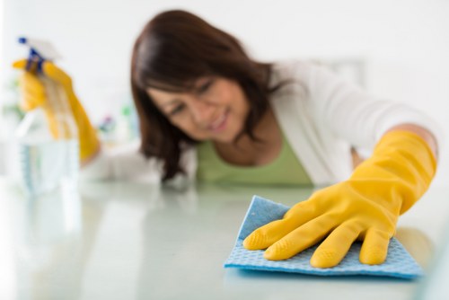 Deep kitchen cleaning as part of a move-out service in Wembley