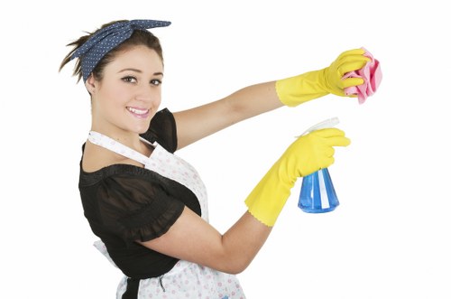 Local carpet cleaner treating stains in a Wembley property