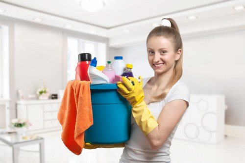 Flexible deep cleaning support for homes and office interiors