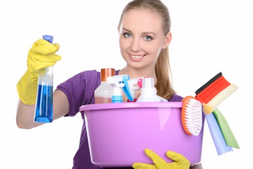 Local domestic cleaning support in Wembley apartment block